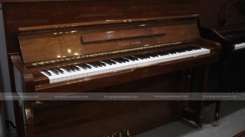 Từ năm 1970 - 1990 Young Chang ngày càng thành công và phát triển vượt bậc