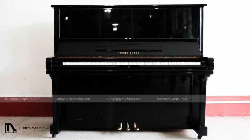 Năm 2006 Young Chang được sát nhập vào Tập đoàn Phát triển Hyundai