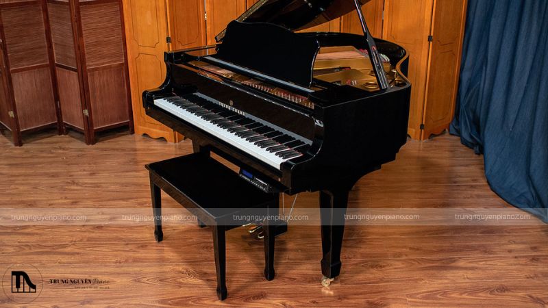 Thiết kế sang trọng, đa dạng phong cách