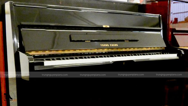 Âm thanh vang, ấm, giai điệu truyền cảm