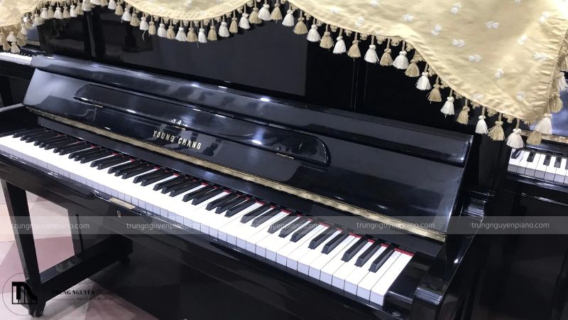 Nên chọn Young Chang hay Yamaha?