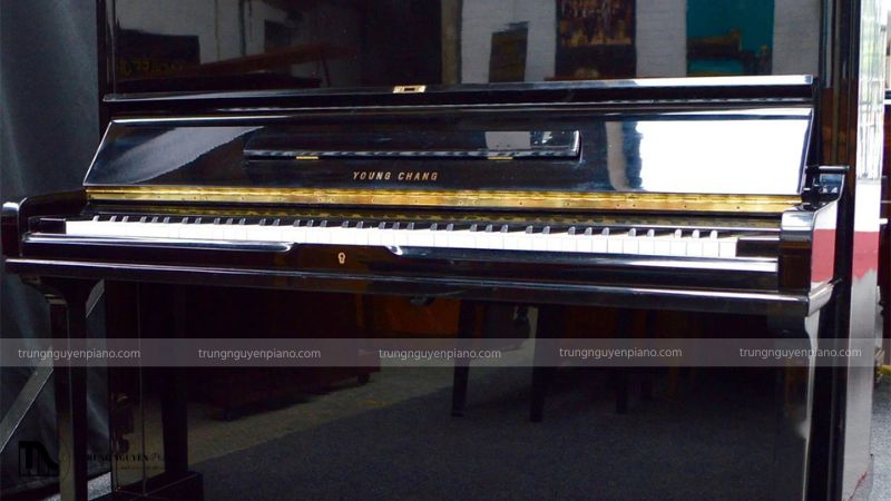 Tìm hiểu và so sánh giá cả, chế độ bảo hành tại các cửa hàng