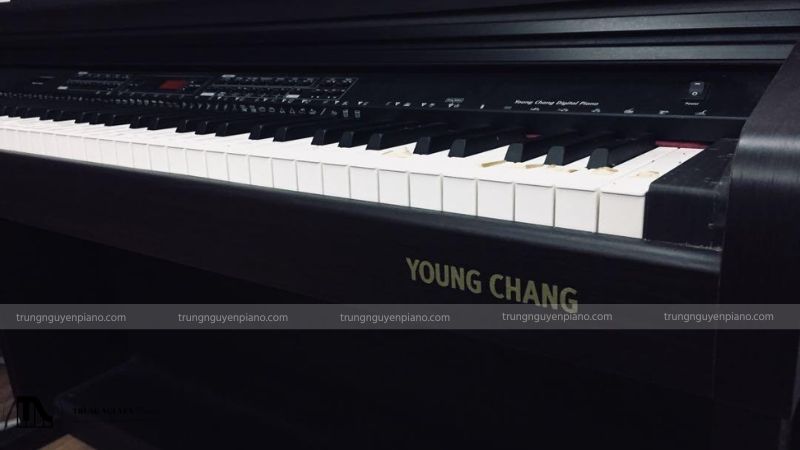 Piano điện Young Chang sở hữu nhiều đặc điểm nổi trội như thiết kế hiện đại, công nghệ âm thanh sống động,...