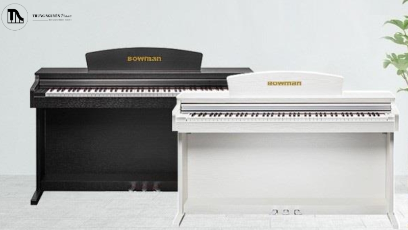 Bowman CX-250 là một model piano điện hiện đại