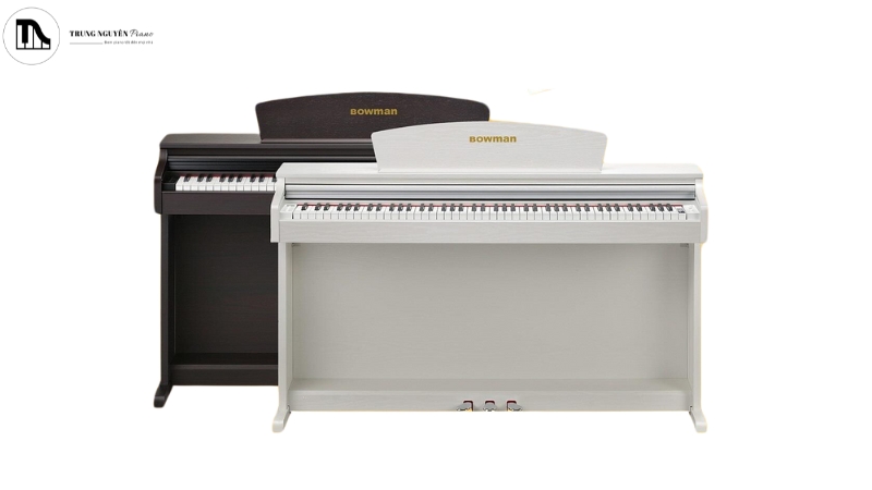 Bowman CX-350 là một model piano điện cao cấp
