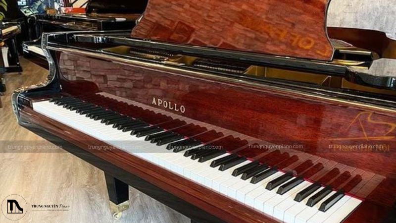 Đàn Piano Apollo của nước nào? Có tốt không, có nên mua không? 4 Apollo còn nổi tiếng với các model Grand Piano