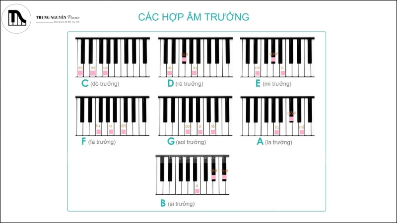 Các hợp âm trưởng