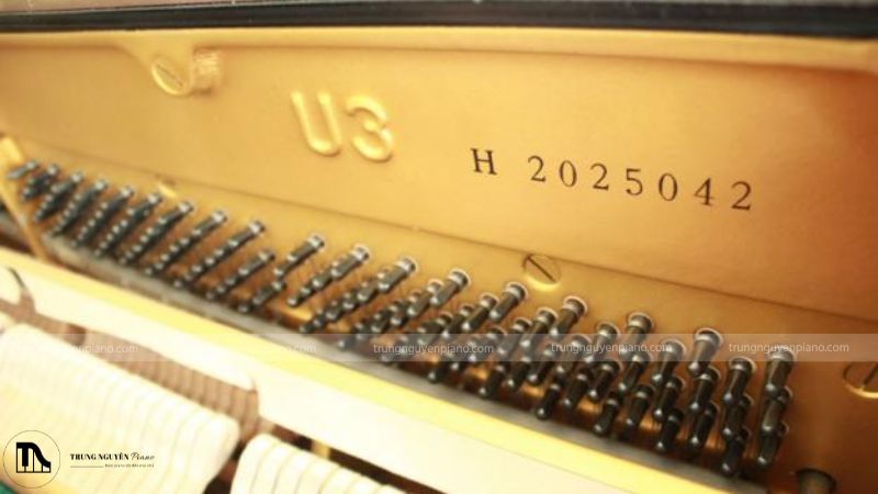 Kiểm tra năm sản xuất và số serial để xác định tuổi đời và chất lượng đàn