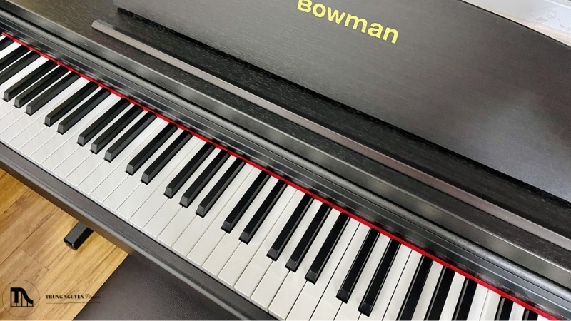 Phím đàn có thể được làm từ nhiều chất liệu khác nhau