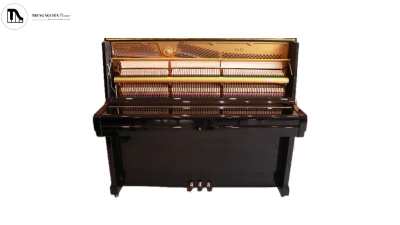 Mua đàn piano cơ cũ là lựa chọn phù hợp cho người mới học