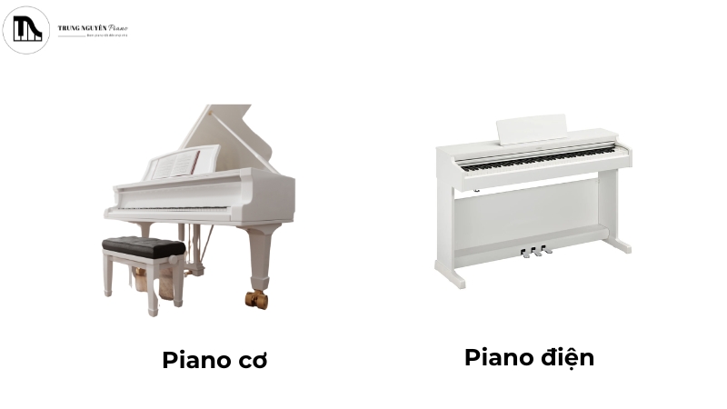 So sánh Piano cơ và piano điện 