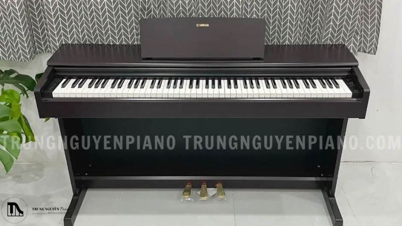 Đàn piano điện Yamaha đời mới nhất 2024 hoàn hảo cho mọi nhu cầu 6 Piano Điện Yamaha YDP144