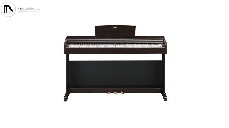 Đàn piano điện Yamaha đời mới nhất 2024 hoàn hảo cho mọi nhu cầu 9 Piano điện Yamaha YDP-145