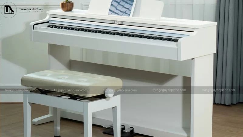 Đàn Piano Apollo của nước nào? Có tốt không, có nên mua không? 1 Đàn piano Apollo sở hữu vẻ ngoài sang trọng, tinh tế