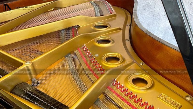 Đàn Piano Apollo của nước nào? Có tốt không, có nên mua không? 2 Đàn piano Apollo sử dụng các loại gỗ cao cấp