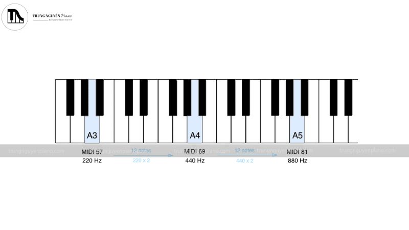 Các quãng 8 trên đàn piano: kiến thức từ a-z cho người mới 3 Nốt cao hơn có tần số gấp đôi nốt thấp hơn