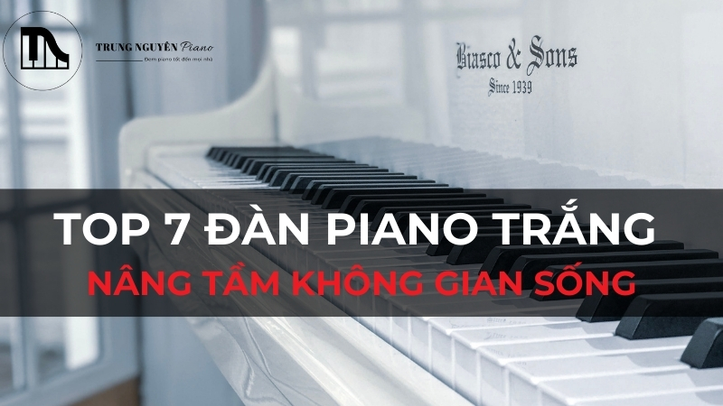 Top 7 Đàn Piano Trắng Nâng Tầm Không Gian Sống