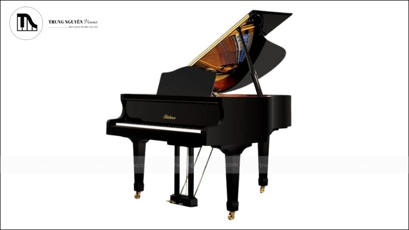 5+ Ưu điểm nổi bật khiến Baby Grand Piano được yêu thích