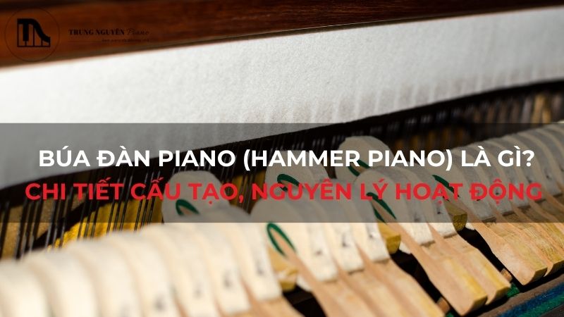 Búa Đàn Piano (Hammer Piano) là gì_ Chi tiết Cấu Tạo, Nguyên Lý Hoạt Động