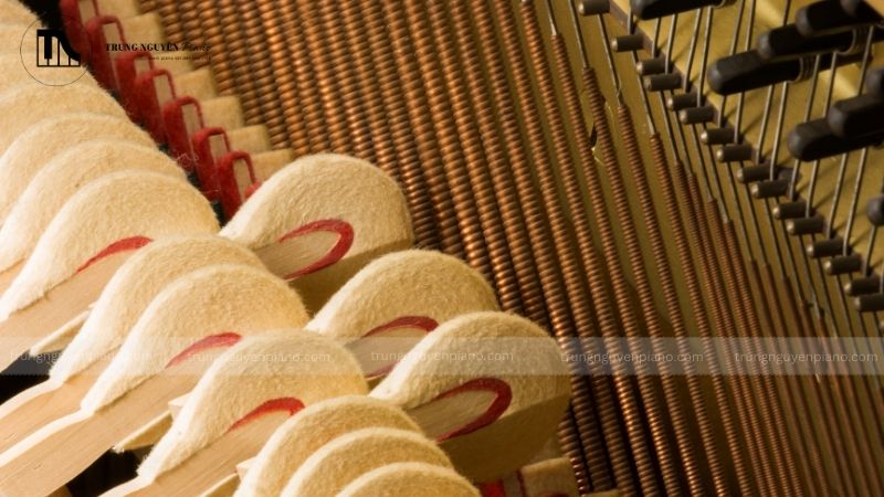 Búa đàn bị lằn, rãnh