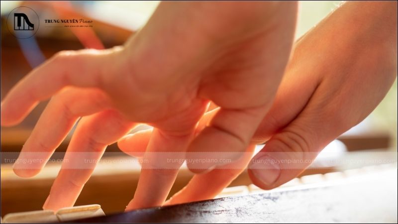 Các bài tập luyện ngón cơ bản và nâng cao