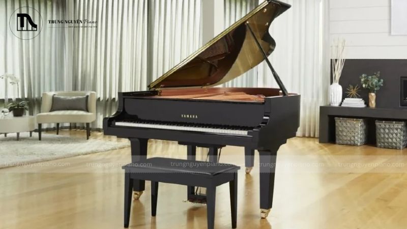 Cấu tạo tinh tế và đặc điểm nổi bật của Baby Grand Piano