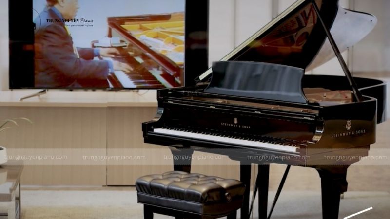 Đàn Piano Steinway & Sons - thương hiệu được giới thượng lưu và nghệ sĩ yêu thích 13 Có nên mua đàn piano Steinway không