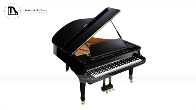 Đàn piano Shigeru Kawai SK-6