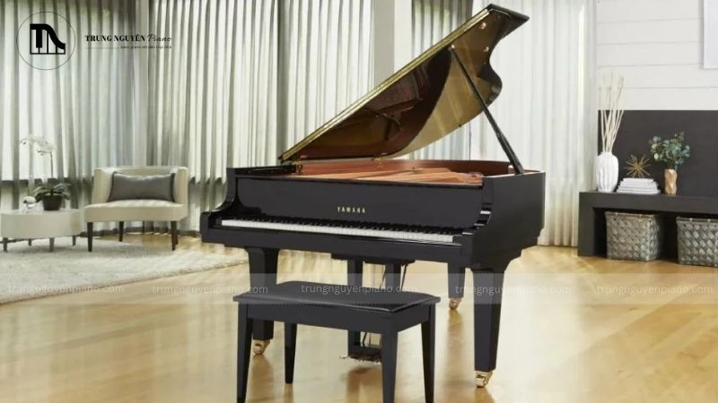 Đàn piano baby grand Yamaha C1X