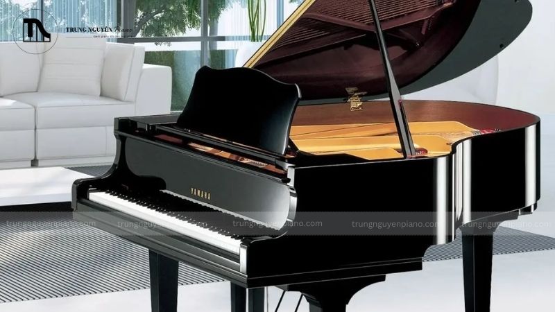 Đàn piano baby grand Yamaha GC1