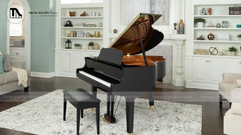 Định nghĩa và nguồn gốc tên gọi - Vì sao gọi là _Baby_ và _Mini