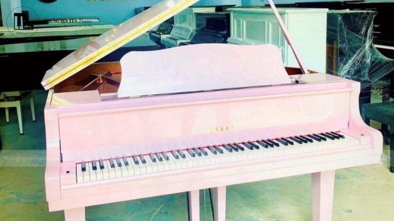 Grand Piano màu hồng Yamaha 