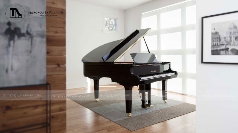 Cách học piano cổ điển: Lộ trình chi tiết từ A-Z cho người mới bắt đầu 1 Khám phá thế giới piano cổ điển