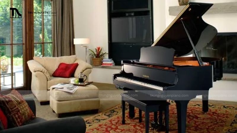 Kích thước không gian và vị trí đặt đàn lý tưởng trong ngôi nhà