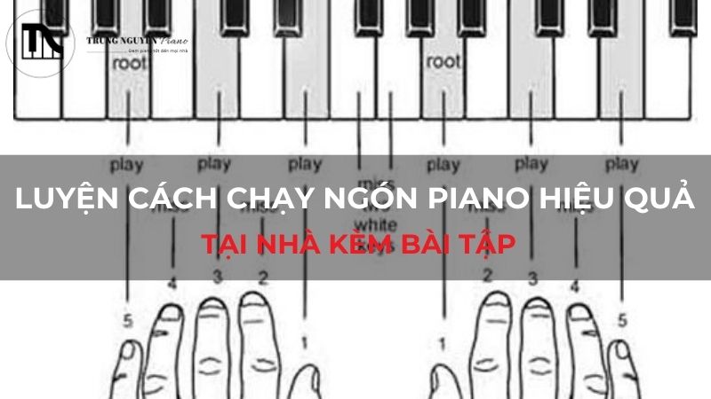 Luyện cách chạy ngón piano hiệu quả tại nhà kèm bài tập