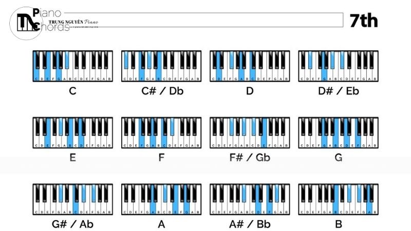 Nhạc lý cơ bản