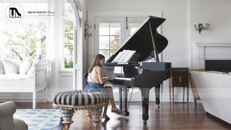 Nhược điểm và hạn chế cần _cân nhắc_ của Baby Grand Piano