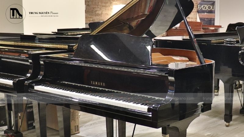 Phân loại đàn Baby Grand Piano_ Theo chiều dài và phong cách thiết kế