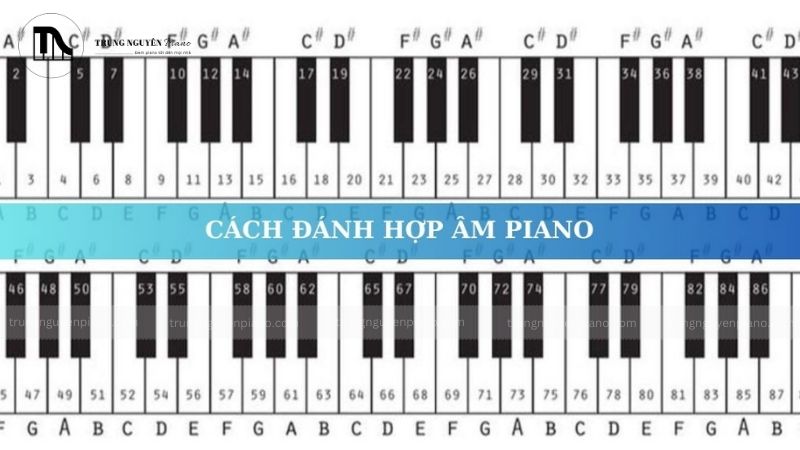 Tại sao bạn mãi _vật lộn_ với việc chuyển hợp âm