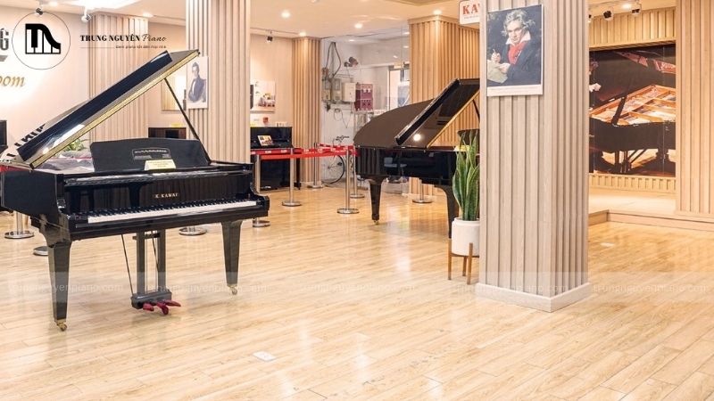 Thương hiệu và lịch sử