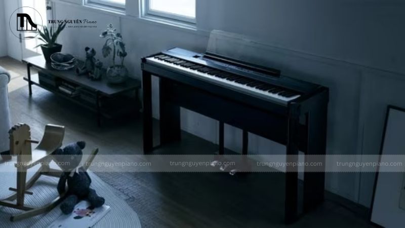 Cách thu âm piano cơ tại nhà chất lượng, dễ thực hiện 2 Tiêu âm đơn giản