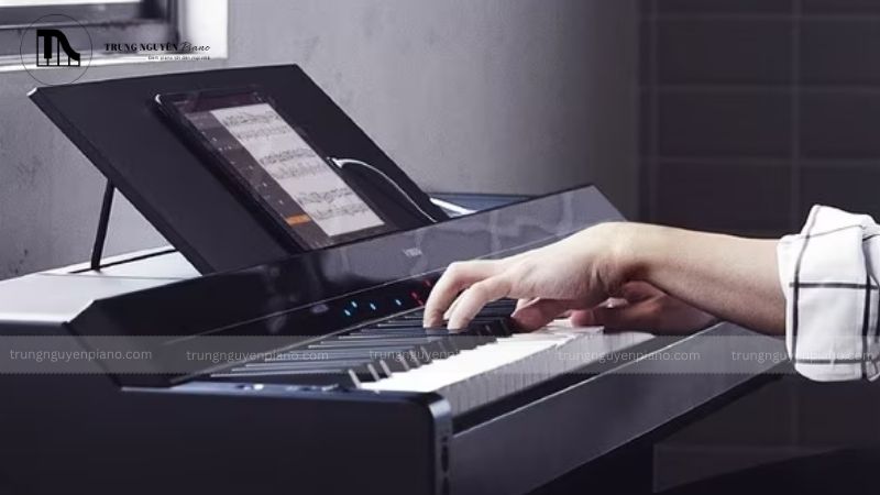 Hướng dẫn chi tiết cách thu âm đàn piano điện tại nhà nhanh, đơn giản 8 Tối ưu âm thanh đầu vào