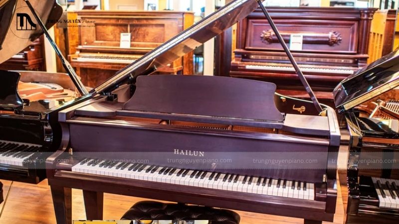 Trải nghiệm âm thanh và cảm ứng phím