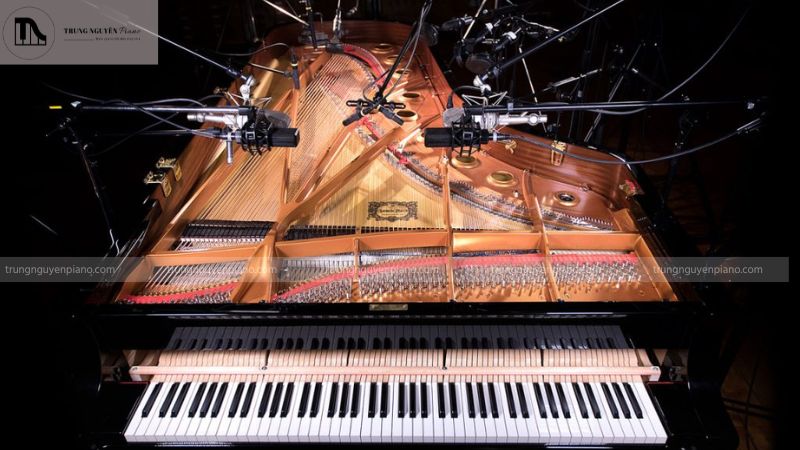 Âm thanh của Concert Grand Piano được mệnh danh là "vô song"