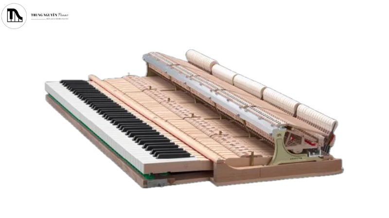 Bộ máy cơ (Action) 