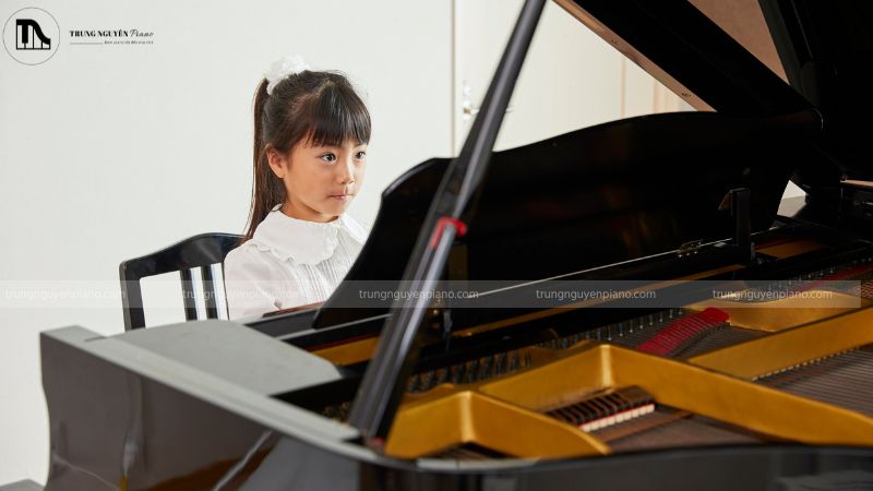 Concert Grand Piano được ví như “Ông Hoàng” của các loại piano
