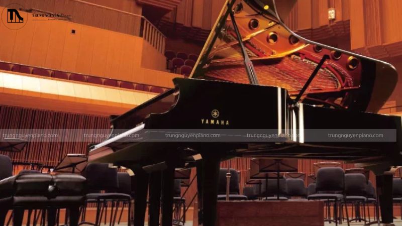 Concert Grand Piano trong các phòng hòa nhạc lớn