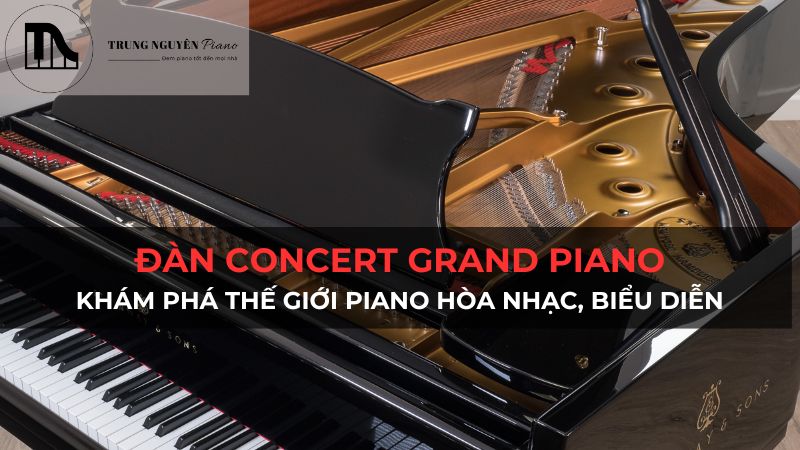 Đàn Concert Grand Piano: Khám phá thế giới Piano hòa nhạc, biểu diễn