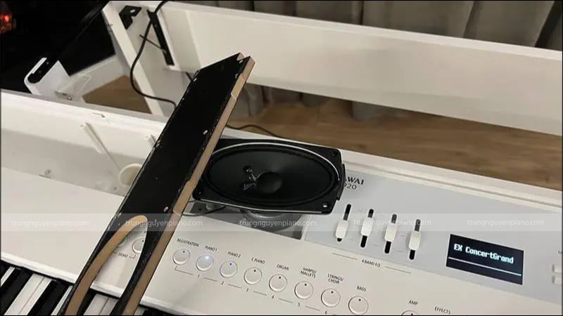 Loa đàn piano điện