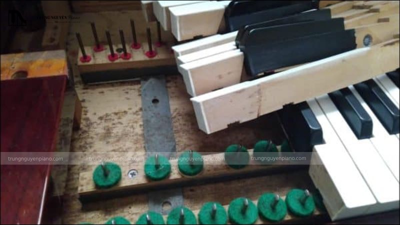 Đàn piano điện bị ẩm